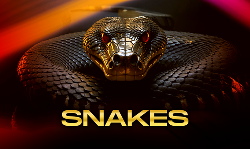 Snakes Game